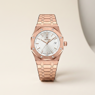 looksmaxxing-steel-watch-pladen Silver