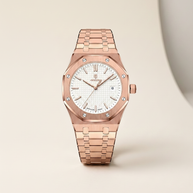 looksmaxxing-steel-watch-pladen White